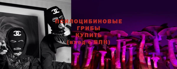 метадон Вяземский