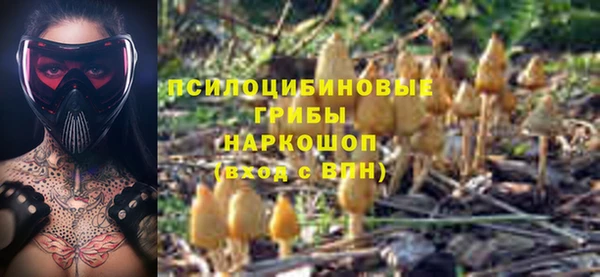 метадон Вяземский