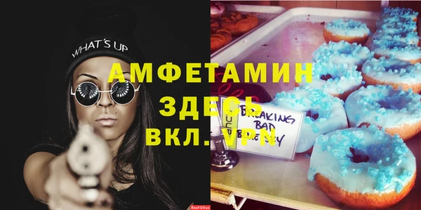 метадон Вяземский