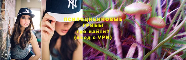 метадон Вяземский