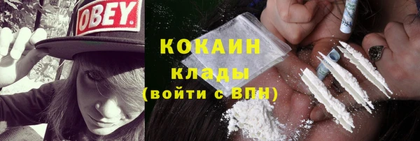 метадон Вяземский