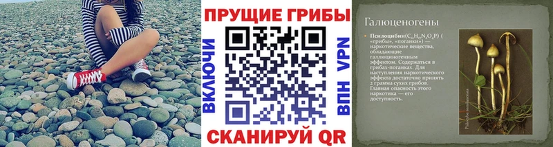Псилоцибиновые грибы прущие грибы  Купить  Южа 